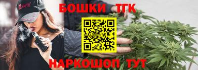 прущие грибы Комсомольск-на-Амуре