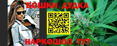 прущие грибы Комсомольск-на-Амуре